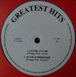 画像1: $ Shaggy / Stevie Wonder / Big Punisher – Greatest Hits  (ST 400 ) YYY67-1372-7-38