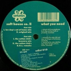 画像1: Soft House Co. II / What You Need  ラスト