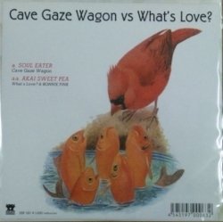 画像1: $ Cave Gaze Wagon / Soul Eater (DSP-015) What's Love? / Akai Sweet Pee Featuring Bonnie Pink (7inch) Split YYS8-3-3 後程済