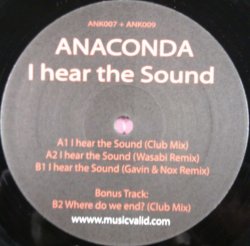 画像1: Anaconda / I Hear The Sound D3978