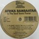 Afrika Bambaataa & The Soul Sonic Force / Planet Rock '96 残少 D4014 未