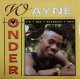$ Wayne Wonder / I'd Die Without You (PHRI 81) D4188 Y8　後程