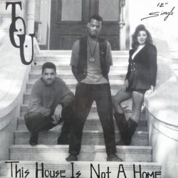 画像1: T.O.U. ‎/ This House Is Not A Home  D4229 未 YYY122-1866-5-10 原修正