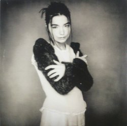 画像1: $ Björk / Human Behaviour (BJORK) UK (112 TP 12) YYY171-2328-4-4