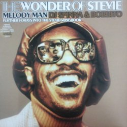 画像1: $ Various / The Wonder Of Stevie (Melody Man: Further Forays Into The Stevie Songbook) LP (HURTLP055) 未 YYY188-2835-1-1