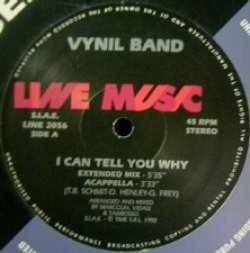 画像1: Vynil Band / I Can Tell You Why  原修正