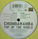 Chumbawamba / Top Of The World 