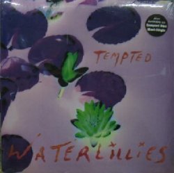 画像1: $ WATERLILLIES / TEMPTED (9 41612-0) YYY365-4681-4-4 後程済