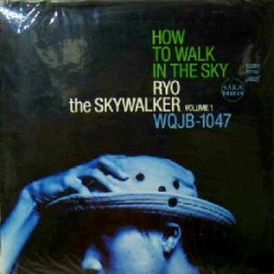 画像1: RYO the SKYWALKER / HOW TO WALK IN THE SKY VOLUME 1　【ラスト】　未