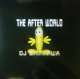 $ DJ SHINKAWA / THE AFTER WORLD (OR-2213 PT) YYY229-2470-3-3+