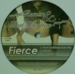 画像1: Fierce / Right Here Right Now - Remix & Best Selection