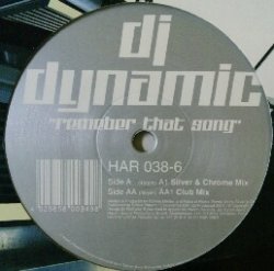 画像1: $ DJ Dynamic / Remember That Song 未 (HAR 038-6) 原修正 Y18 在庫未確認