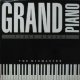 THE MIXMASTER / GRAND PIANO (ARS 3749) Y?