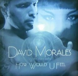 画像1: $ David Morales With Lea-Lorién / How Would U Feel (DM 101) YYY222-2391-8-8　後程済