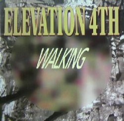 画像1: Elevation 4th / Walking