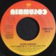Regina Belle / How Could You Do It To Me (Edited Remix)  (7inch)  原修正