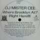 DJ Mister Cee / Shake Dat Ass Girl / Where Brooklyn At? (Right Here!!!)