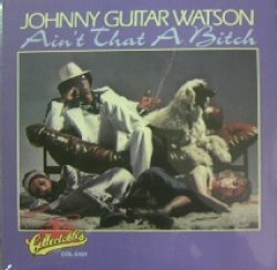 画像1: Johnny Guitar Watson / Ain't That A Bitch (LP) YYY94-1612-3-3