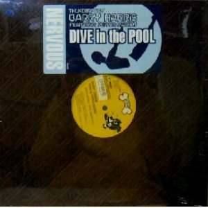 画像: BARRY HARRIS (THUNDERPUSS) / DIVE IN THE POOL　　未