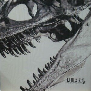 画像: $ BOOM BOOM SATELLITES / UMBRA (SRJL 1051) SRJL 1051 (2LP) Y6-5F 在庫未確認