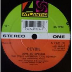 画像: $ Ceybil / Love So Special (A 7721 T) The Steve Anderson Total Revamp (Original Underground Club Mix) 未 Y2-D3266 後程済