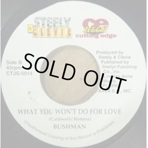 画像: %% SKATTA / I WANNA BE YOUR MAN (CTJS-5014) BUSHMAN / WHAT YOU WON'T DO FOR LOVE (7inch) YYS93-10-12+20+ 後程済