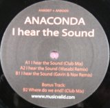 画像: Anaconda / I Hear The Sound D3978
