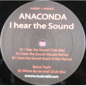 画像: Anaconda / I Hear The Sound D3978