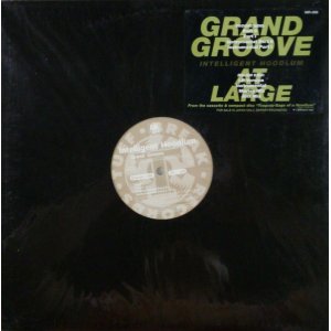 画像: $ Intelligent Hoodlum / Grand Groove / At Large (MR-098) ラスト D4428 Y1