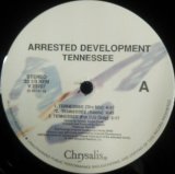 画像: Arrested Development / Tennessee YYY180-2445-10-19
