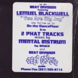 画像: $ Beat Division Featuring Lemuel Blackwell / You Are My Joy (dgr-002) YYY-361-4537-1-1+