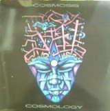 画像: Cosmosis / Cosmology (2LP) 最終 YYY0-379-2-2