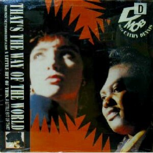 画像: D-MOB featuring CATHY DENNIS / THAT'S THE WAY OF THE WORLD YYY185-2805-6-6 未