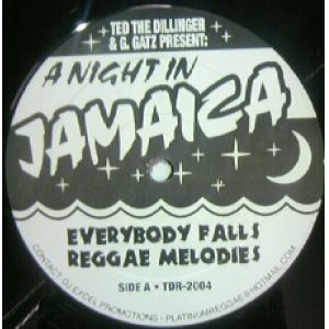 画像: A NIGHT IN JAMAICA / EVERYBODY FALLS REGGAE MELODIES 