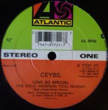 画像1: Ceybil / Love So Special  残少 未 D3266