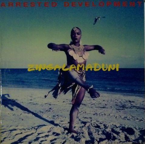 画像2: $ Arrested Development / Zingalamaduni (F1-29274) 2LP (7243 8 29274 1 9) 未 Y1-D1328NM