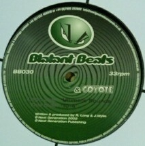 画像1: UNKNOWN & COYOTE / ULTIMATE SOUNDS (BB030) Y356-4436-1-1 後程済